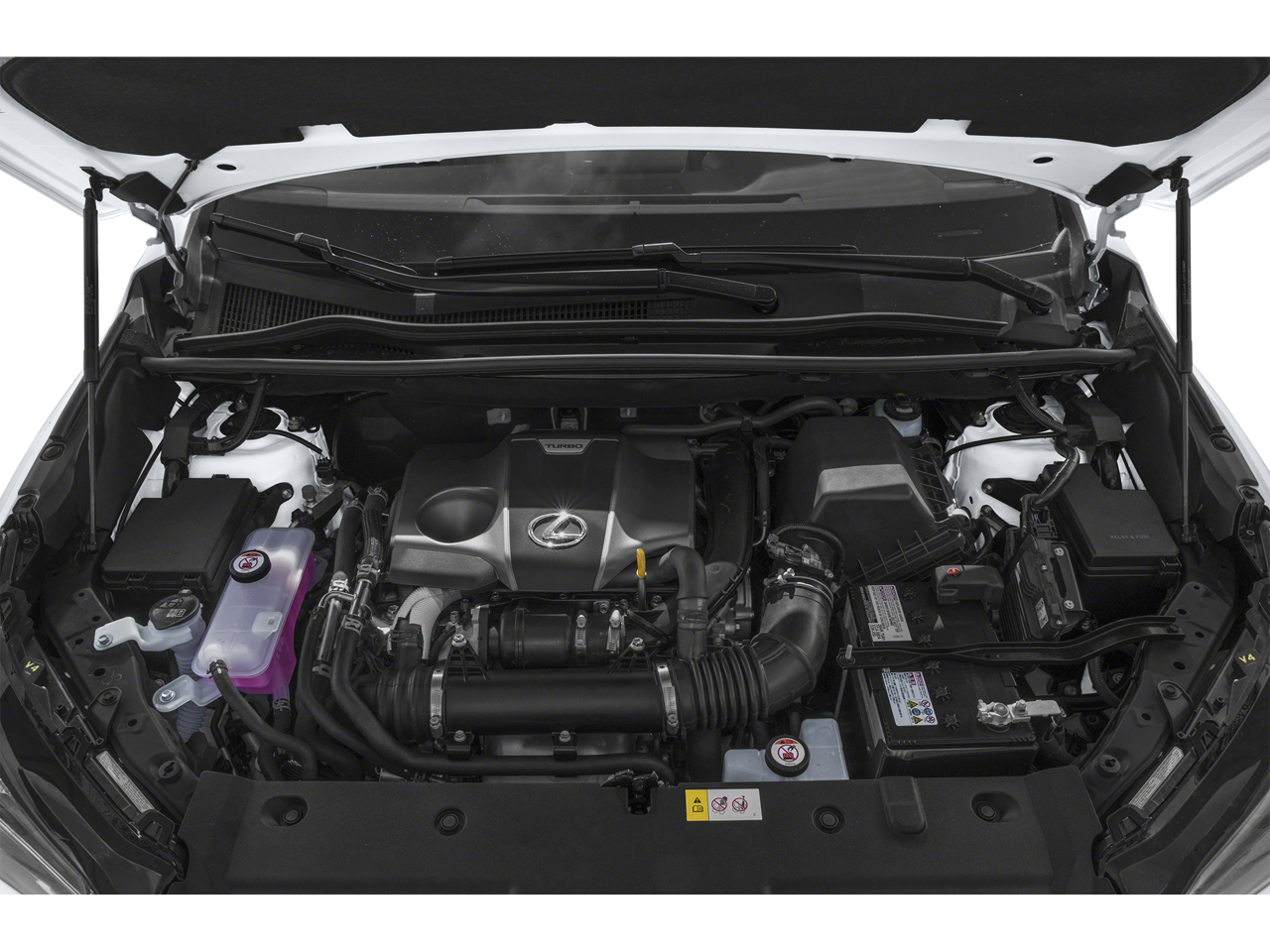 2020 Lexus NX 300 F SPORT