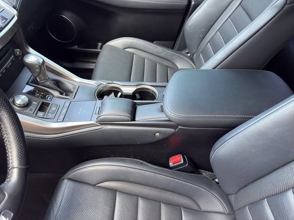 2020 Lexus NX 300 F SPORT