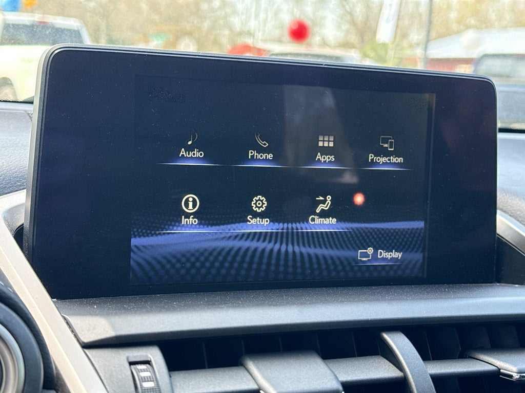 2020 Lexus NX 300 F SPORT