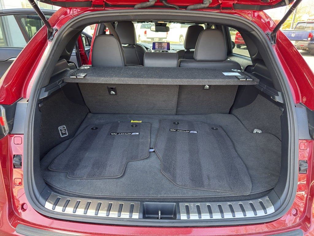 2020 Lexus NX 300 F SPORT