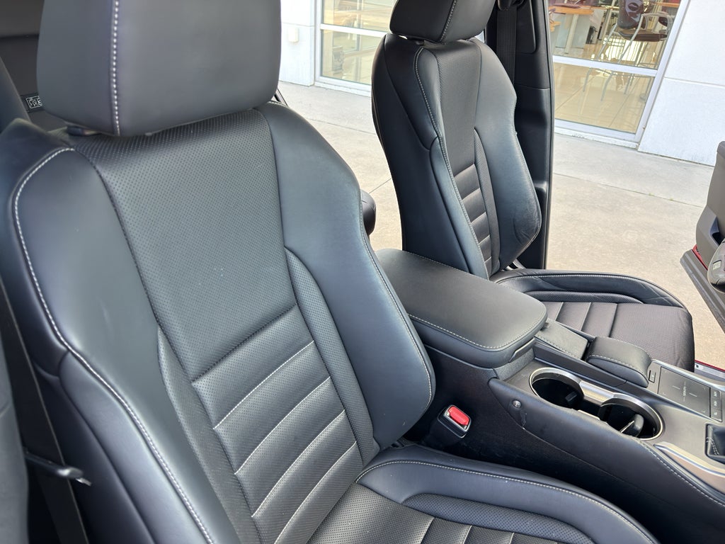 2020 Lexus NX 300 F SPORT